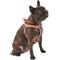 Show in main carousel: Frisco Outdoor Two Tone Waterproof Stinkproof PVC Dog Harness, Mars Red, L - Girth: 23 - 36-in slide 3 of 7