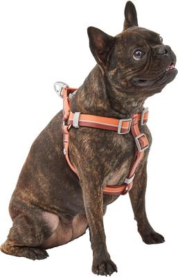Show full view: Frisco Outdoor Two Tone Waterproof Stinkproof PVC Dog Harness, Mars Red, L - Girth: 23 - 36-in slide 3 of 7