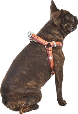 Show full view: Frisco Outdoor Two Tone Waterproof Stinkproof PVC Dog Harness, Mars Red, L - Girth: 23 - 36-in slide 4 of 7