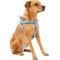 Show in main carousel: Frisco Outdoor Two Tone Waterproof Stinkproof PVC Dog Harness, River Blue, XL - Girth: 32 - 44-in slide 3 of 7