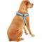 Show in main carousel: Frisco Outdoor Two Tone Waterproof Stinkproof PVC Dog Harness, River Blue, XL - Girth: 32 - 44-in slide 4 of 7