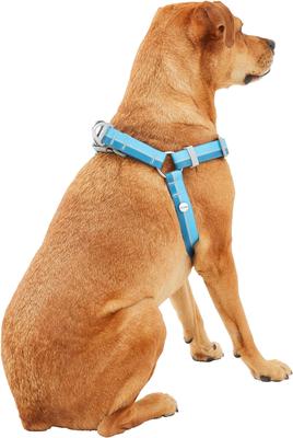 Show full view: Frisco Outdoor Two Tone Waterproof Stinkproof PVC Dog Harness, River Blue, XL - Girth: 32 - 44-in slide 4 of 7