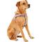 Show in main carousel: Frisco Outdoor Two Tone Waterproof Stinkproof PVC Dog Harness, Shadow Purple, XL - Girth: 32 - 44-in slide 4 of 8