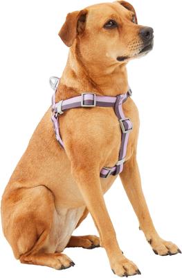 Show full view: Frisco Outdoor Two Tone Waterproof Stinkproof PVC Dog Harness, Shadow Purple, XL - Girth: 32 - 44-in slide 4 of 8