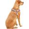Show in main carousel: Frisco Outdoor Two Tone Waterproof Stinkproof PVC Dog Harness, Shadow Purple, XL - Girth: 32 - 44-in slide 5 of 8