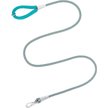 Show in main carousel: Frisco Outdoor Ultra Reflective Rope Leash with Padded Handle, Bayou Teal slide 1 of 7