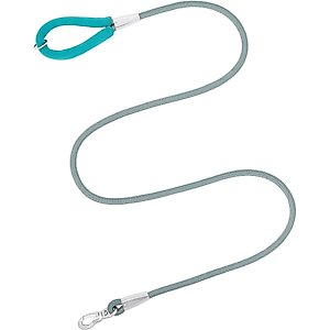 Frisco Outdoor Ultra Reflective Rope Leash with Padded Handle, Bayou Teal