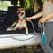 Show in main carousel: Frisco Outdoor Ultra Reflective Rope Leash with Padded Handle, Bayou Teal slide 5 of 7