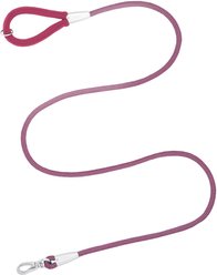 Frisco Outdoor Ultra Reflective Rope Leash with Padded Handle, Boysenberry Purple