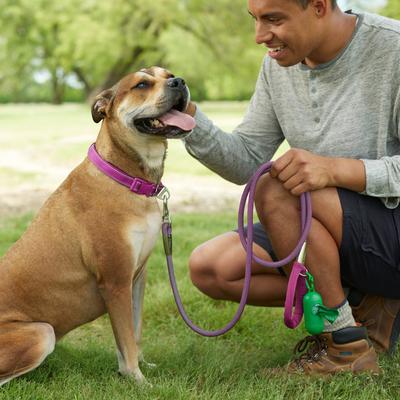 Show full view: Frisco Outdoor Ultra Reflective Rope Leash with Padded Handle, Boysenberry Purple slide 5 of 7