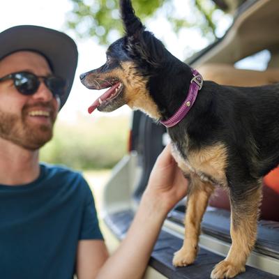 Show full view: Frisco Outdoor Woven Jacquard Nylon Dog Collar, Boysenberry Purple, SM - Neck: 10-14-in, Width: 5/8-in slide 4 of 8