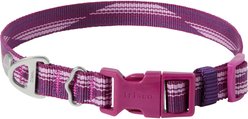 Frisco Outdoor Woven Jacquard Nylon Dog Collar, Boysenberry Purple, XS: Neck: 8-12-in, W: 5/8th -in