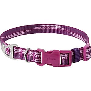 Frisco Outdoor Woven Jacquard Nylon Dog Collar, Boysenberry Purple, XS: Neck: 8-12-in, W: 5/8th -in