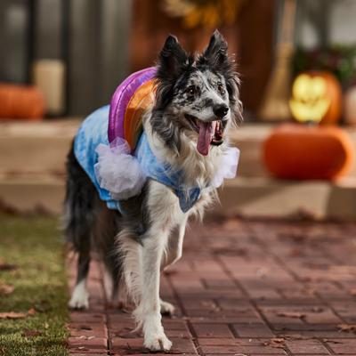 Show full view: Frisco Over the Rainbow Dog & Cat Costume, Large slide 6 of 8