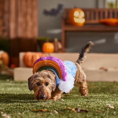 Show full view: Frisco Over the Rainbow Dog & Cat Costume, Small slide 7 of 9