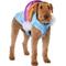 Show in main carousel: Frisco Over the Rainbow Dog & Cat Costume, XX-Large slide 1 of 8