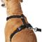 Show in main carousel: Frisco Padded No Pull Dog Harness, Black, L- Girth 26 to 40-in slide 2 of 10