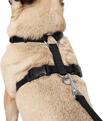 Show full view: Frisco Padded No Pull Dog Harness, Black, S- Girth16 to 22-in slide 2 of 10