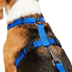Frisco Padded No Pull Dog Harness, Blue, M- Girth 22 to 34-in slide 2 of 7