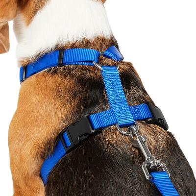 Show full view: Frisco Padded No Pull Dog Harness, Blue, M- Girth 22 to 34-in slide 2 of 10