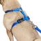 Show in main carousel: Frisco Padded No Pull Dog Harness, Blue, S- Girth16 to 22-in slide 3 of 11