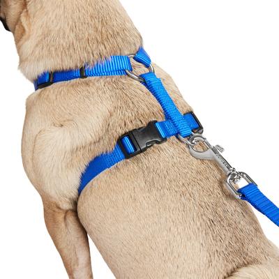 Show full view: Frisco Padded No Pull Dog Harness, Blue, S- Girth16 to 22-in slide 3 of 11