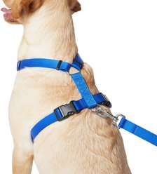 Frisco Padded No Pull Dog Harness, Blue, XL- Girth 32 to 50-in slide 2 of 7
