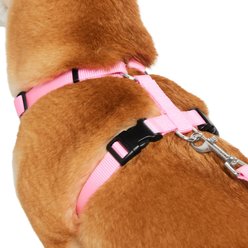 Frisco Padded No Pull Dog Harness, Pink, M- Girth 22 to 34-in slide 2 of 7