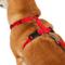 Show in main carousel: Frisco Padded No Pull Dog Harness, Red, M- Girth 22 to 34-in slide 3 of 11