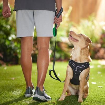 Show full view: Frisco Padded Reflective Harness, Black, Medium slide 3 of 7