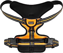 Frisco Padded Reflective Harness, Orange, Large