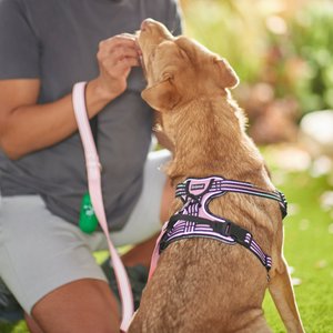 Frisco Padded Reflective Harness, Pink, Medium