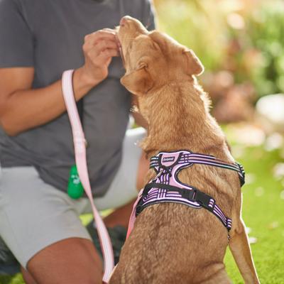 Show full view: Frisco Padded Reflective Harness, Pink, Medium slide 3 of 7