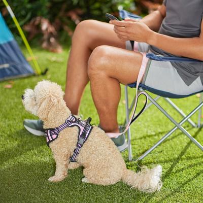 Show full view: Frisco Padded Reflective Harness, Pink, X-Small slide 3 of 7