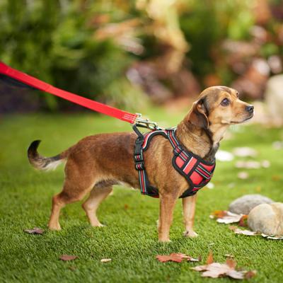 Show full view: Frisco Padded Reflective Harness, Red, Small slide 3 of 7