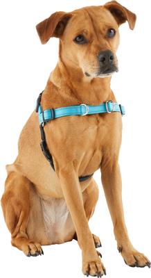 Show full view: Frisco Padded Reflective No Pull Harness, Blue/Black, XL slide 4 of 8
