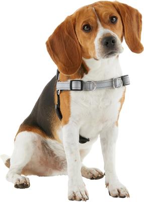 Show full view: Frisco Padded Reflective No Pull Harness, Gray/Black, XL slide 4 of 8