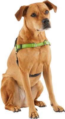 Show full view: Frisco Padded Reflective No Pull Harness, Green/Black, LG slide 4 of 8