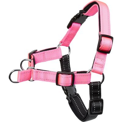 Frisco Frisco Padded Reflective No Pull Harness, Pink/Black, LG