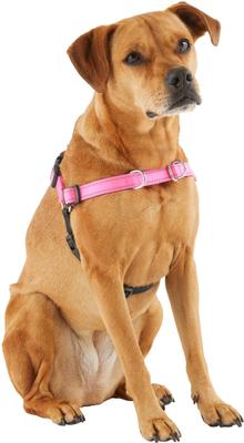 Show full view: Frisco Padded Reflective No Pull Harness, Pink/Black, LG slide 4 of 8