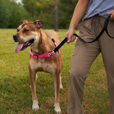 Show full view: Frisco Padded Reflective No Pull Harness, Pink/Black, LG slide 5 of 8