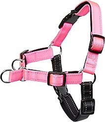 Frisco Padded Reflective No Pull Harness, Pink/Black, XL