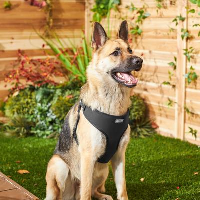 Show full view: Frisco Padded Step-In Harness, Black, X-Large slide 5 of 7