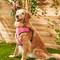 Show in main carousel: Frisco Padded Step-In Harness, Pink, Extra Large slide 5 of 7