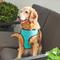 Show in main carousel: Frisco Padded Step-In Harness, Turquoise, X-Large slide 5 of 7