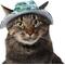 Show in main carousel: Frisco Palm Leaf Short Brimmed Bucket Dog & Cat Hat, Green, X-Small/Small slide 1 of 8