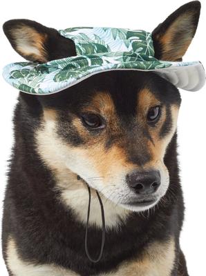 Show full view: Frisco Palm Leaf Short Brimmed Bucket Dog & Cat Hat, Green, X-Small/Small slide 3 of 8