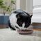 Show in main carousel: Frisco Paris Non-skid Ceramic Cat Dish, Multi Color, 0.5 cup, 1 count slide 6 of 10