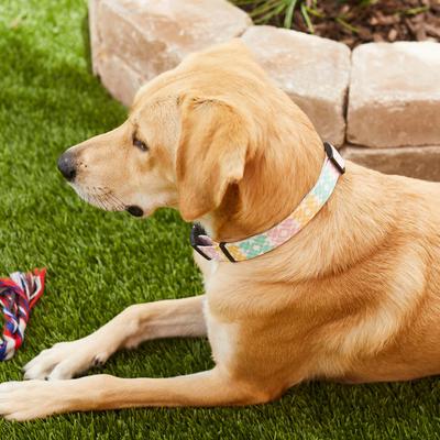 Show full view: Frisco Pastel Tie Dye Polyester Personalized Dog Collar, Large: 18 to 26-in neck, 1-in wide slide 5 of 6