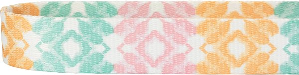 Show full view: Frisco Pastel Tie Dye Polyester Personalized Dog Collar, Medium: 14 to 20-in neck, 3/4-in wide slide 4 of 6